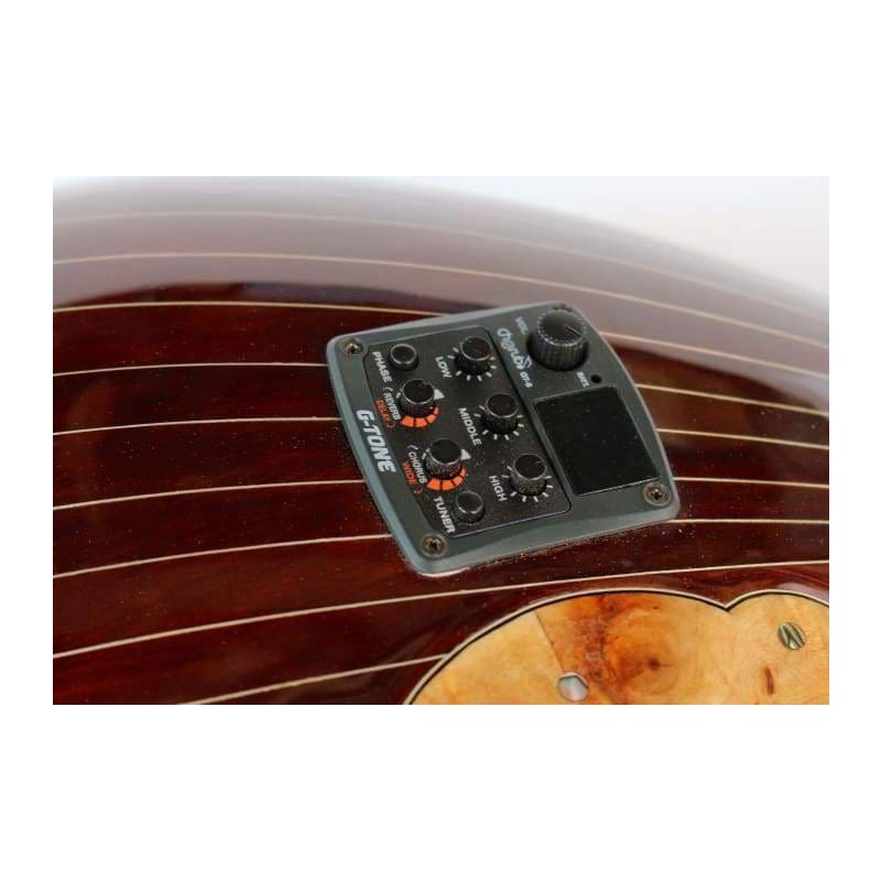 Baglama électrique genévrier SES-405 par Sala