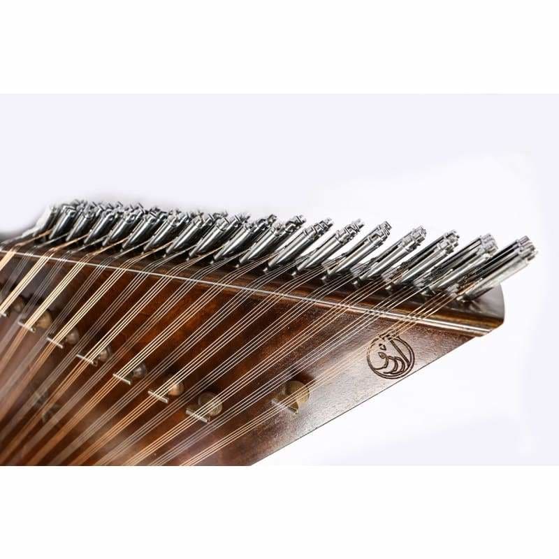 Santour persan DRS-204V de Davoud Shirazi avec mezrab