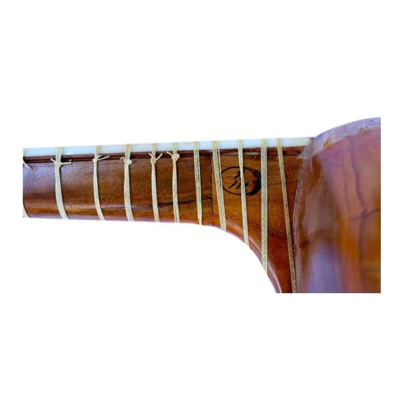 Afshari tar persan ET-205 double caisse luth avec détails sculptés