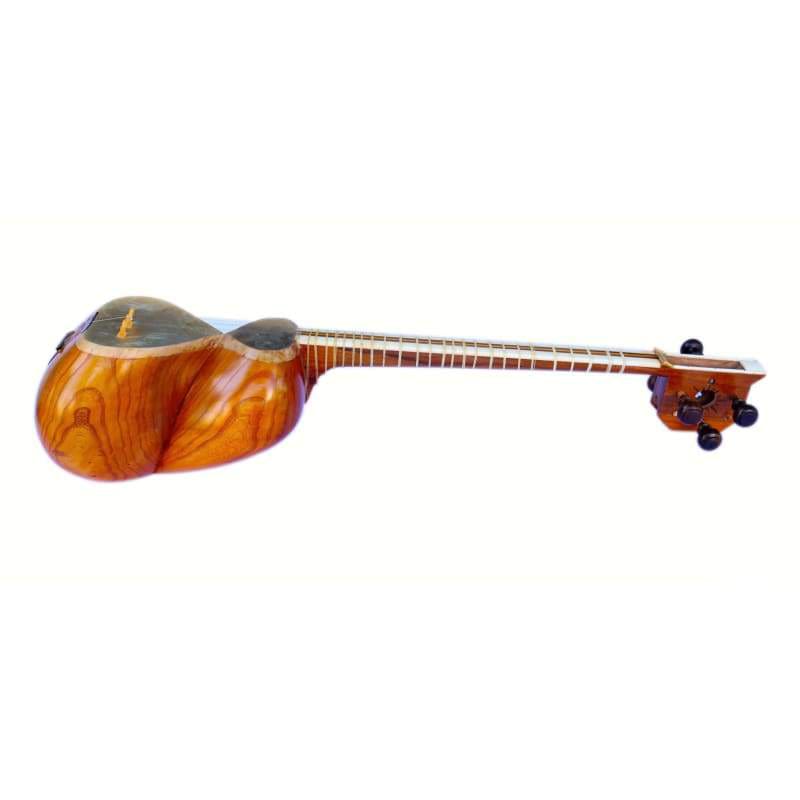 Afshari tar ET-205 tar persan double caisse instrument à cordes pincées