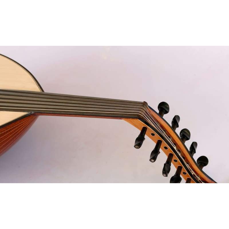 Oud turc gaucher acajou AO-101ML par Sala