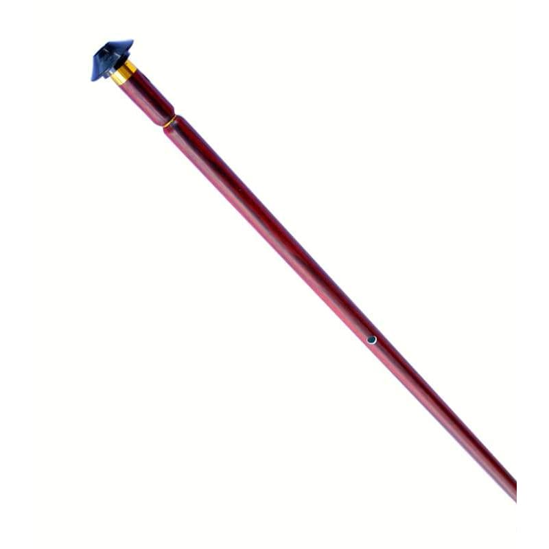 Ney plastique turc APN-302 par Dest instrument de pratique