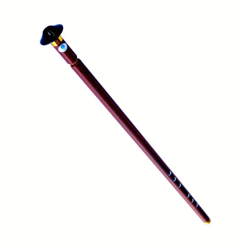Ney plastique turc APN-302 par Dest instrument pour étudiants