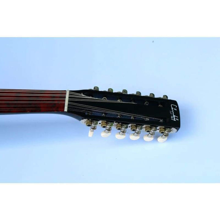 Zeynel Abidin Turkish cumbus concert instrument