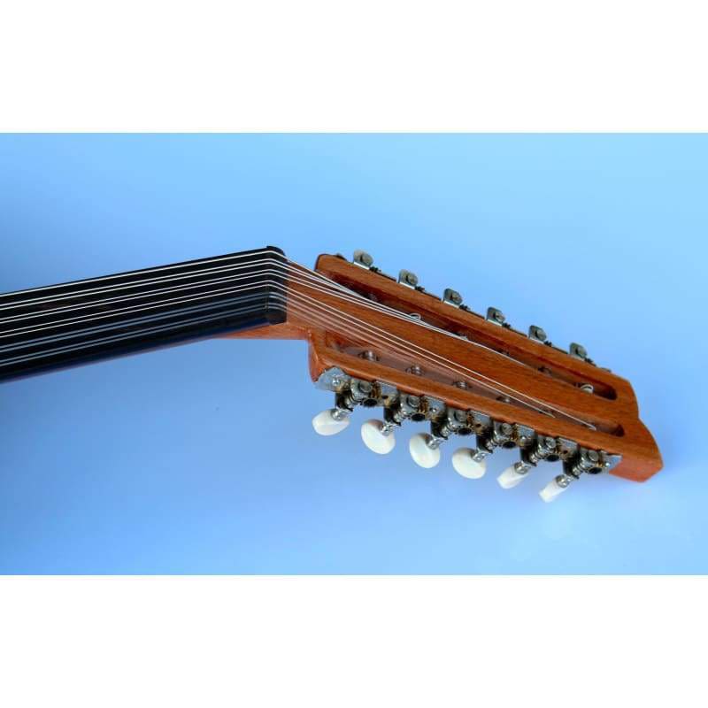 Oud turc électrique professionnel AOH-302G avec système de micro intégré