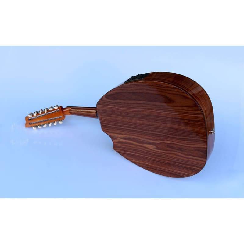 Oud turc électrique en noyer AOH-302G par Sala