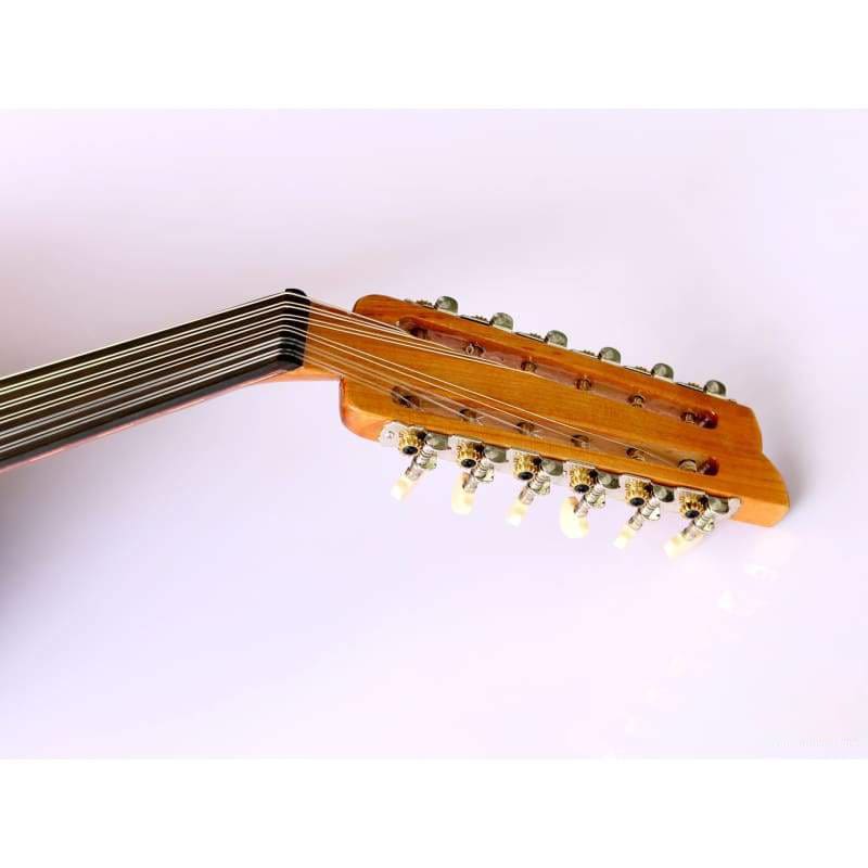Oud électrique turc professionnel AOK-301G par Sala Muzik