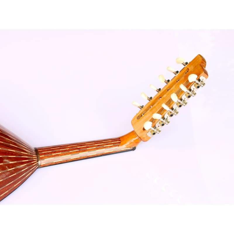 Oud électrique turc acajou AOK-301G par Sala