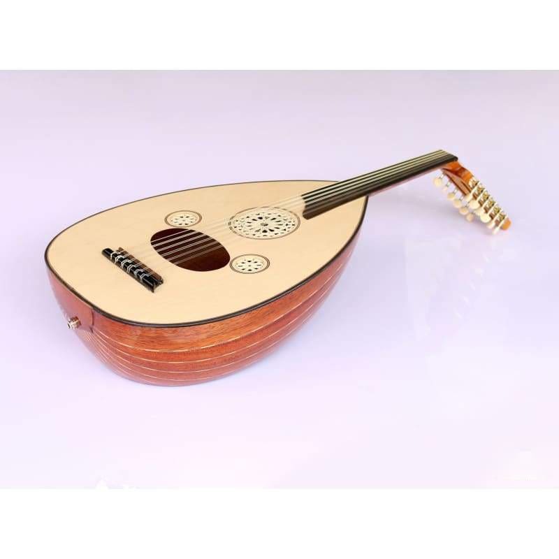 Oud électrique turc acajou AOK-301G par Sala